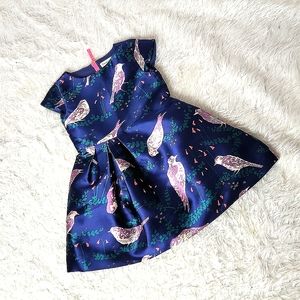 Crewcuts | satin Navy bird print dress